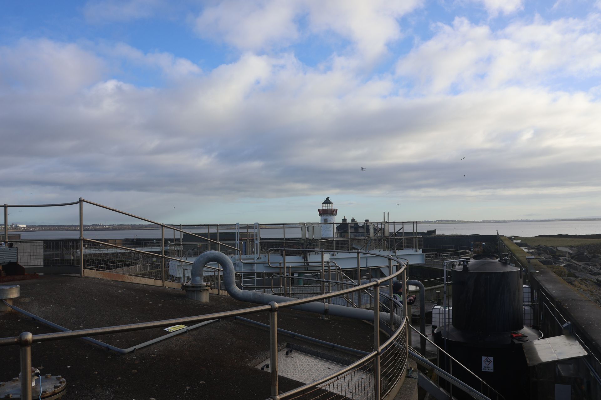 The importance of Mutton Island | ResNRJwater